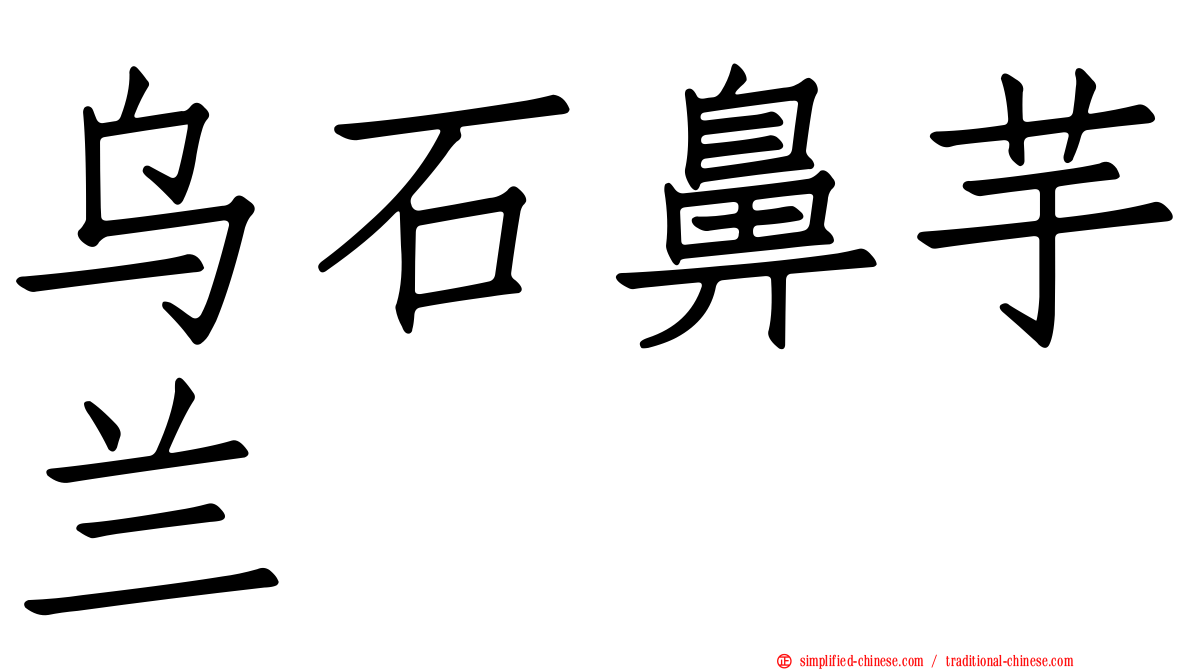 乌石鼻芋兰