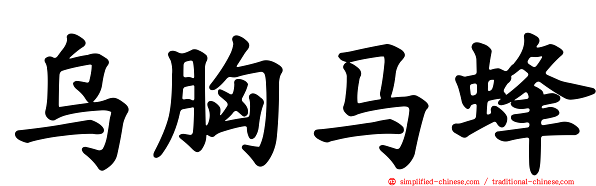 乌胸马蜂
