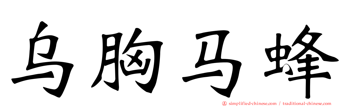 乌胸马蜂