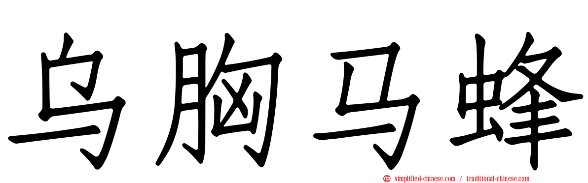 乌胸马蜂