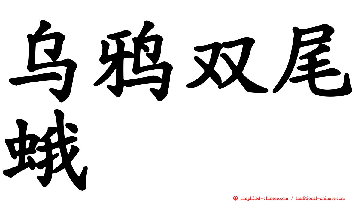 乌鸦双尾蛾