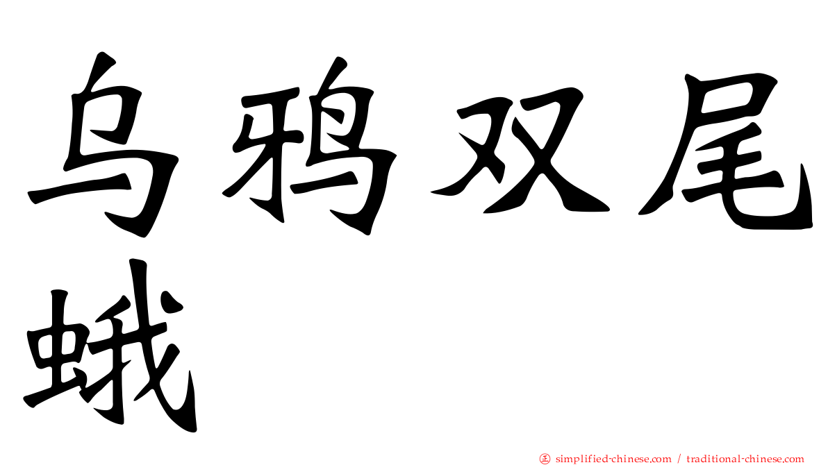 乌鸦双尾蛾
