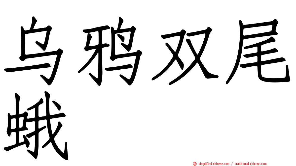乌鸦双尾蛾