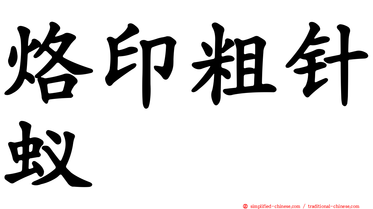 烙印粗针蚁
