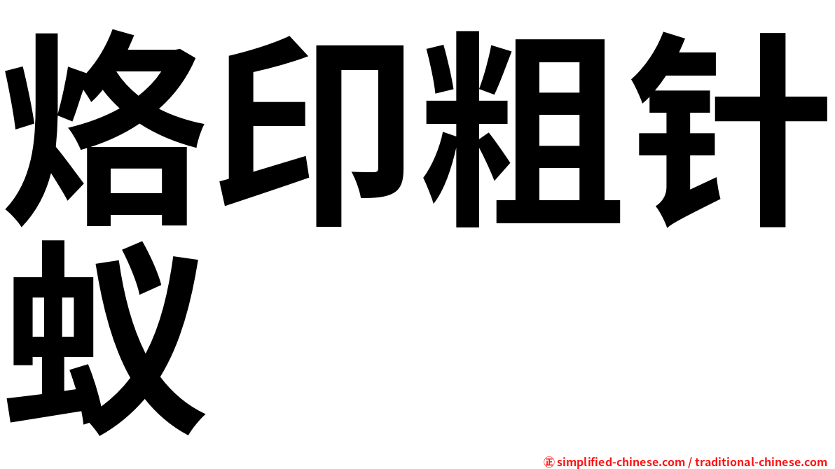 烙印粗针蚁