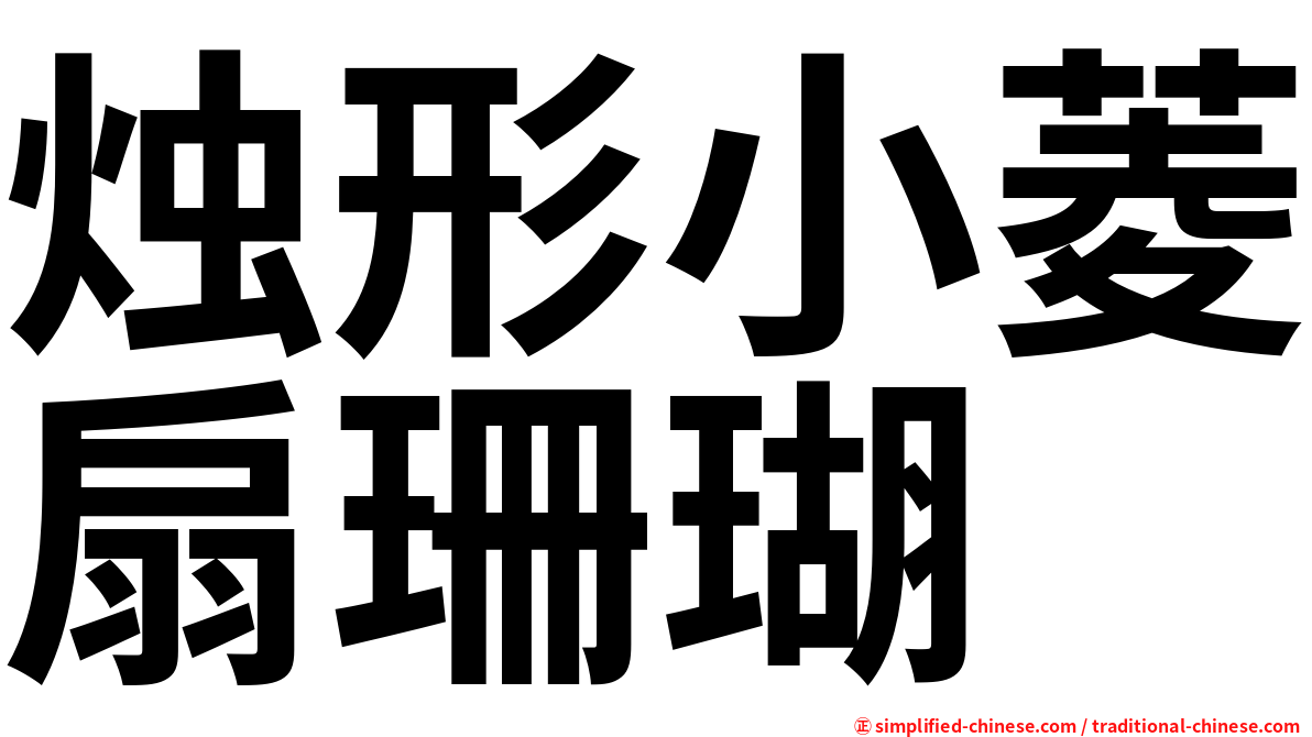 烛形小菱扇珊瑚