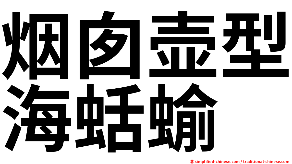 烟囱壶型海蛞蝓