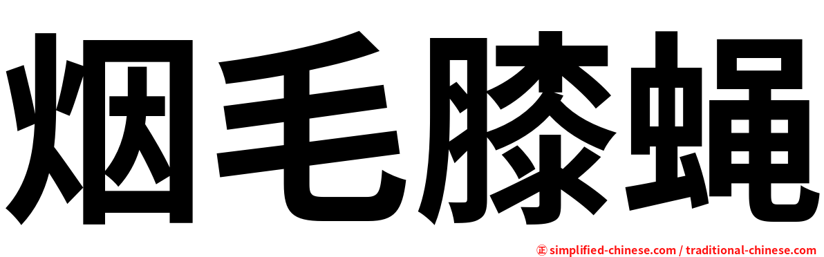 烟毛膝蝇