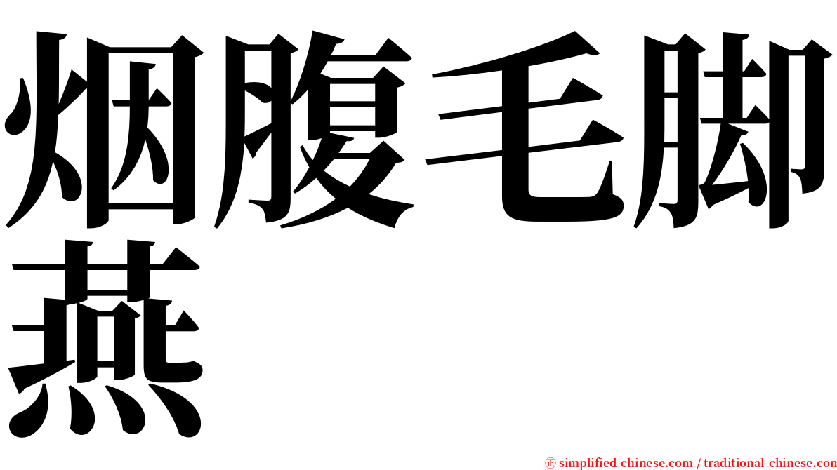 烟腹毛脚燕 serif font