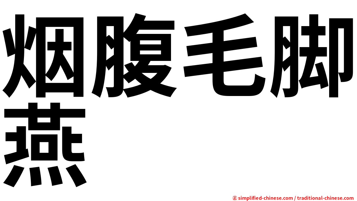 烟腹毛脚燕