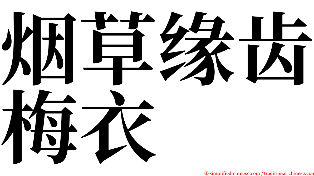 烟草缘齿梅衣 serif font