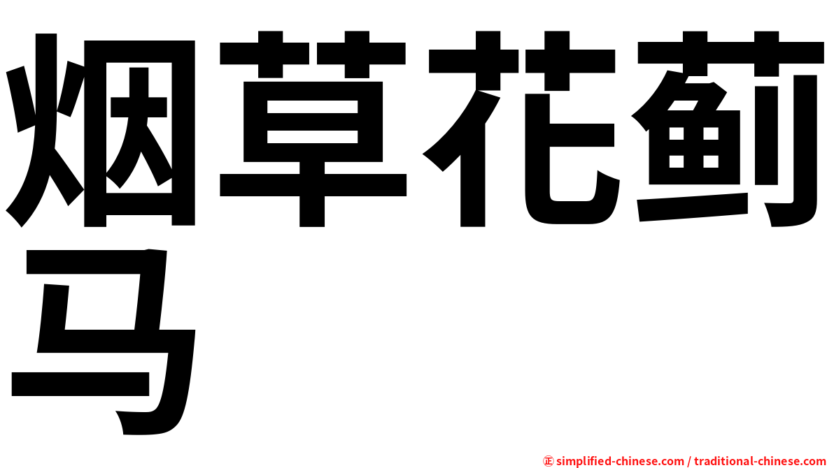 烟草花蓟马