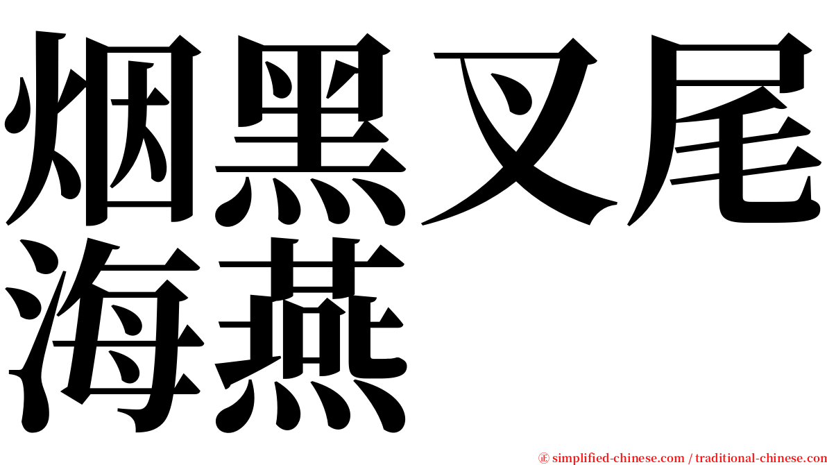 烟黑叉尾海燕 serif font