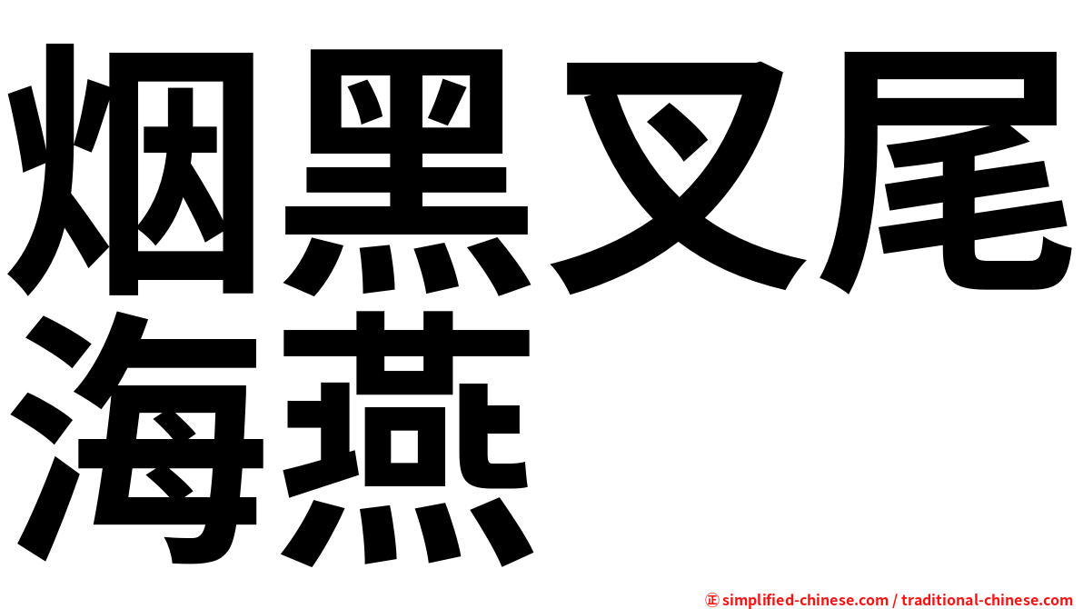 烟黑叉尾海燕