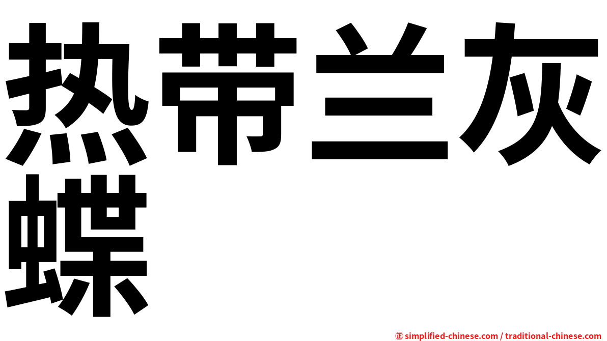 热带兰灰蝶