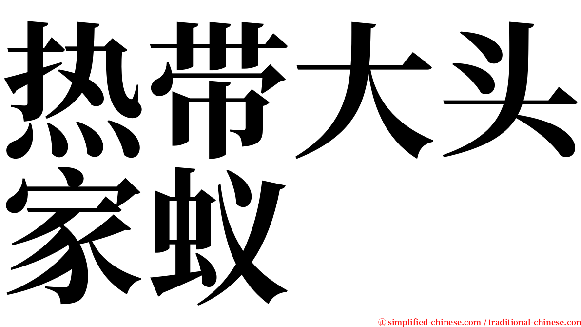 热带大头家蚁 serif font