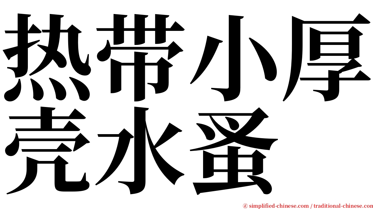 热带小厚壳水蚤 serif font