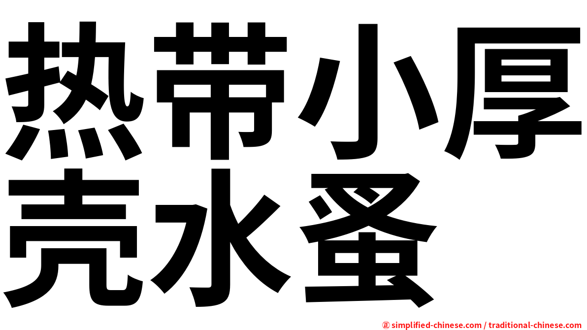热带小厚壳水蚤