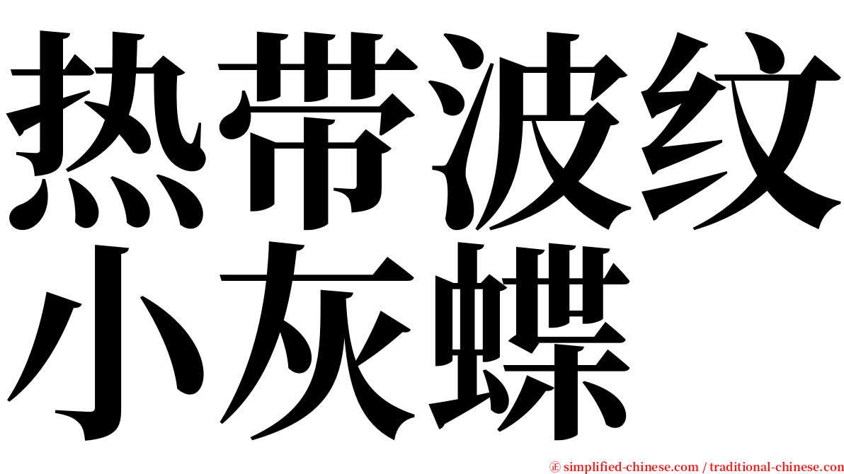 热带波纹小灰蝶 serif font