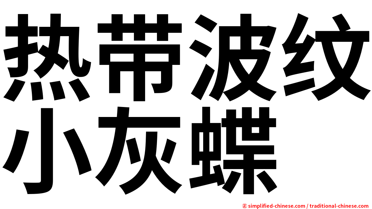热带波纹小灰蝶