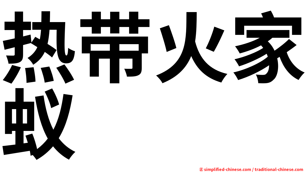 热带火家蚁