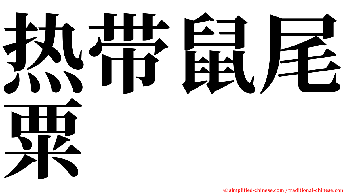 热带鼠尾粟 serif font