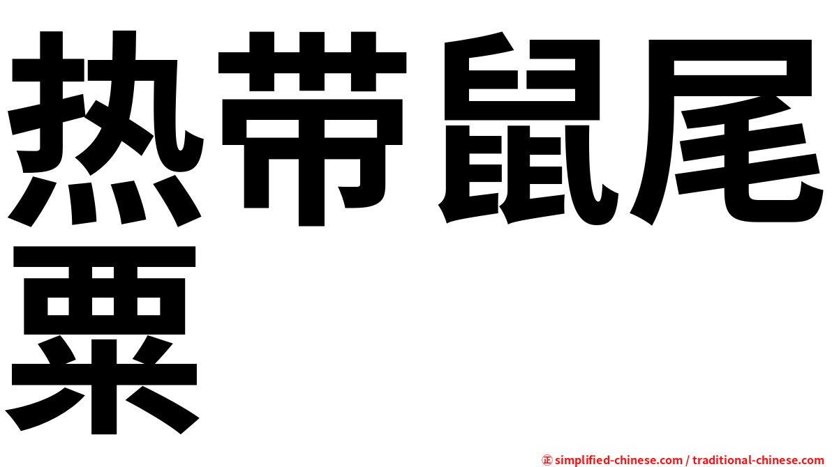 热带鼠尾粟