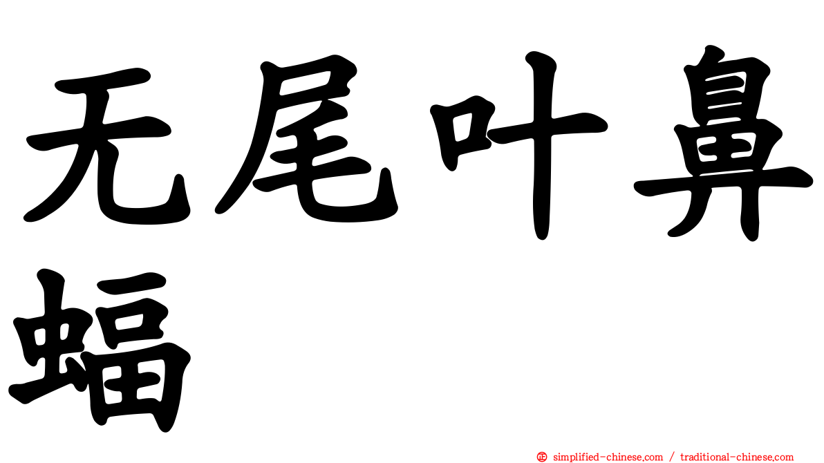 无尾叶鼻蝠