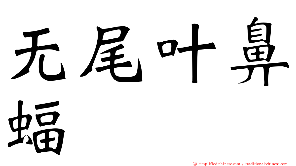 无尾叶鼻蝠