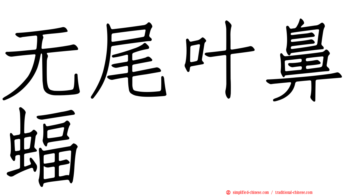 无尾叶鼻蝠