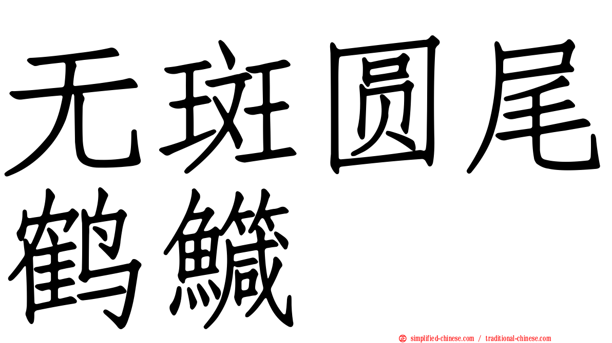 无斑圆尾鹤鱵