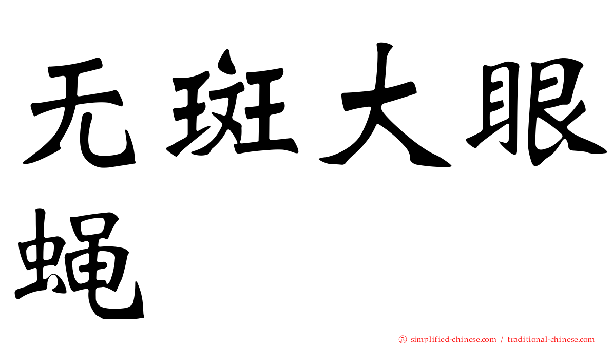 无斑大眼蝇