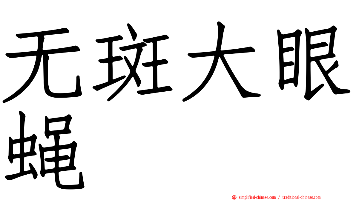 无斑大眼蝇