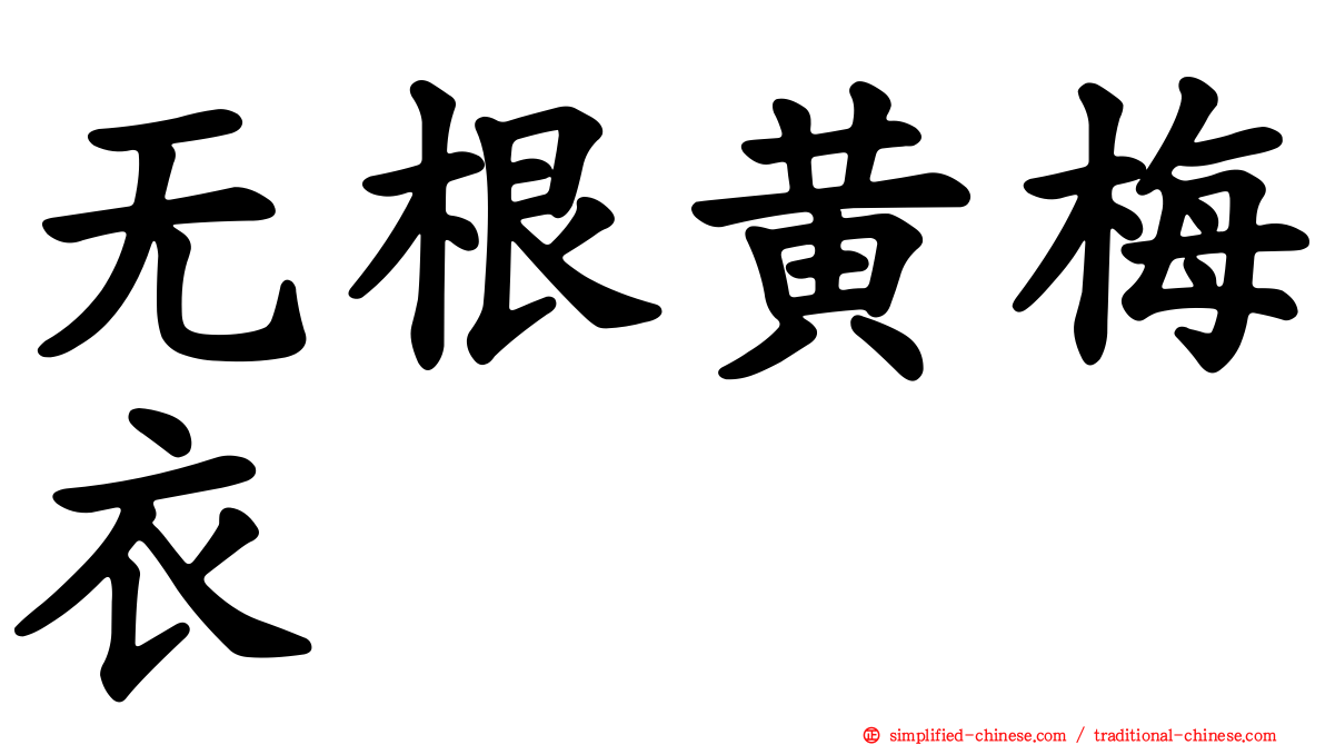 无根黄梅衣