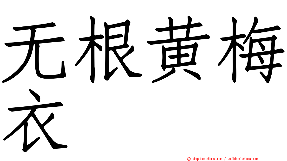 无根黄梅衣