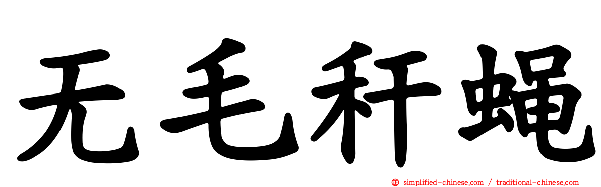 无毛秆蝇