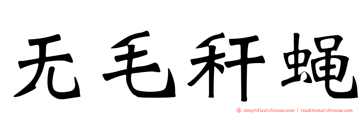 无毛秆蝇