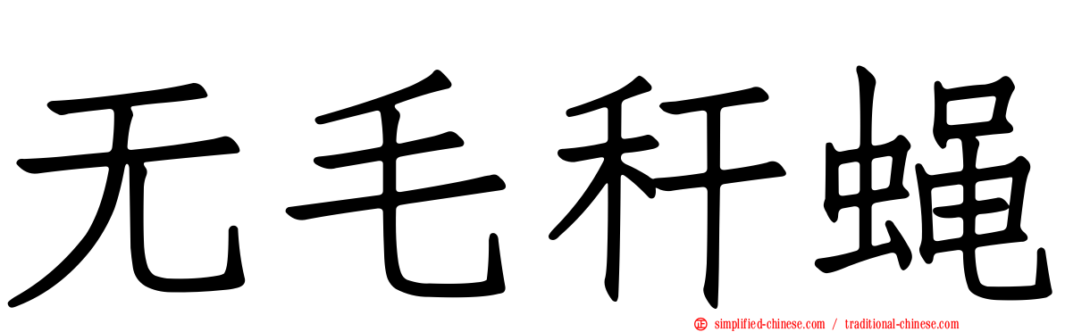 无毛秆蝇
