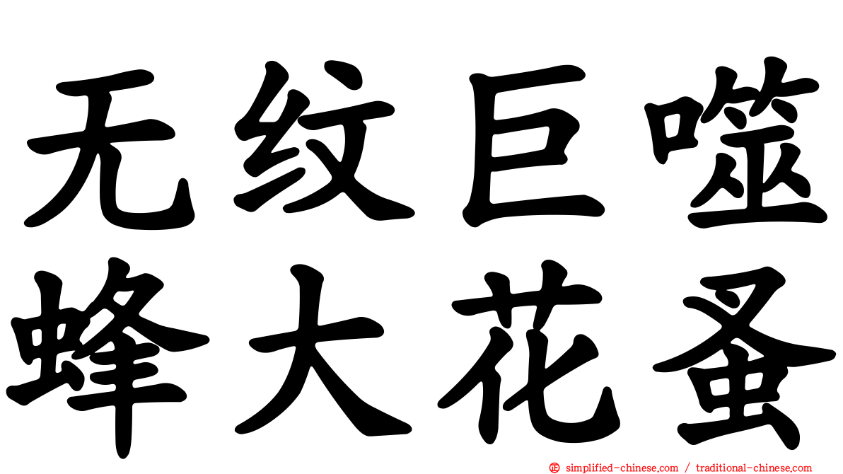 无纹巨噬蜂大花蚤