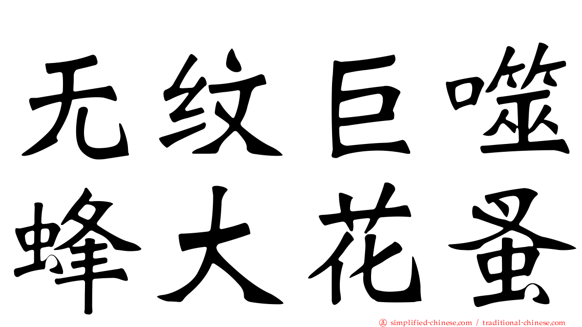 无纹巨噬蜂大花蚤