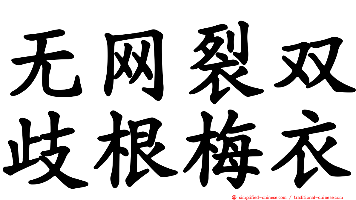 无网裂双歧根梅衣