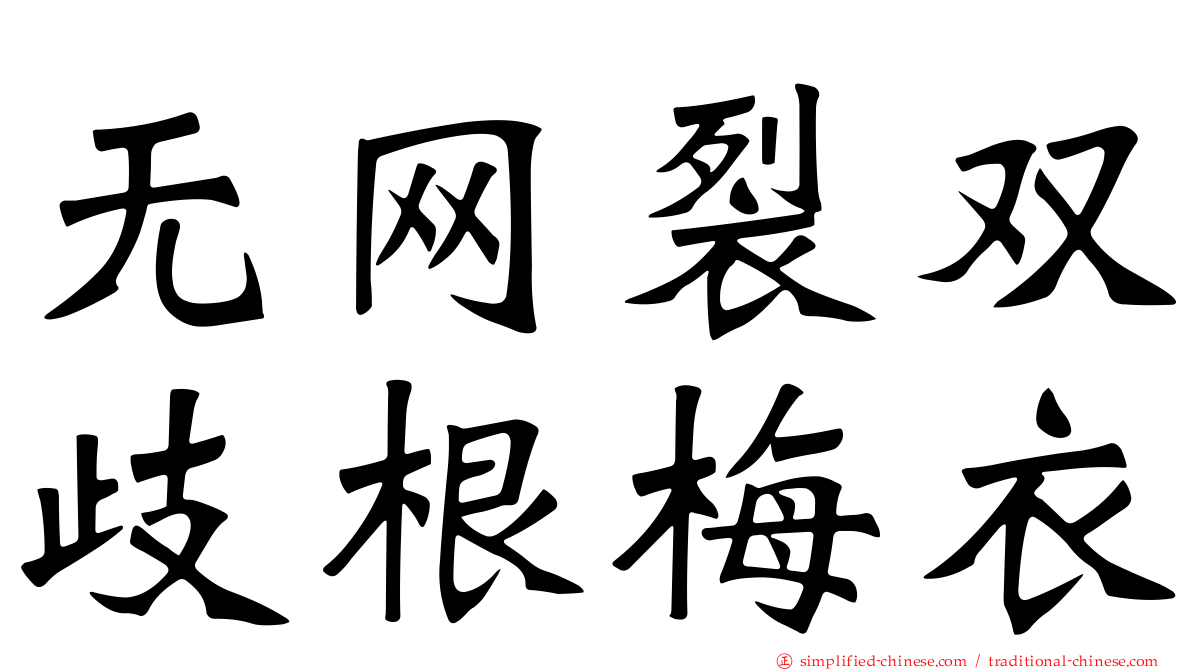 无网裂双歧根梅衣