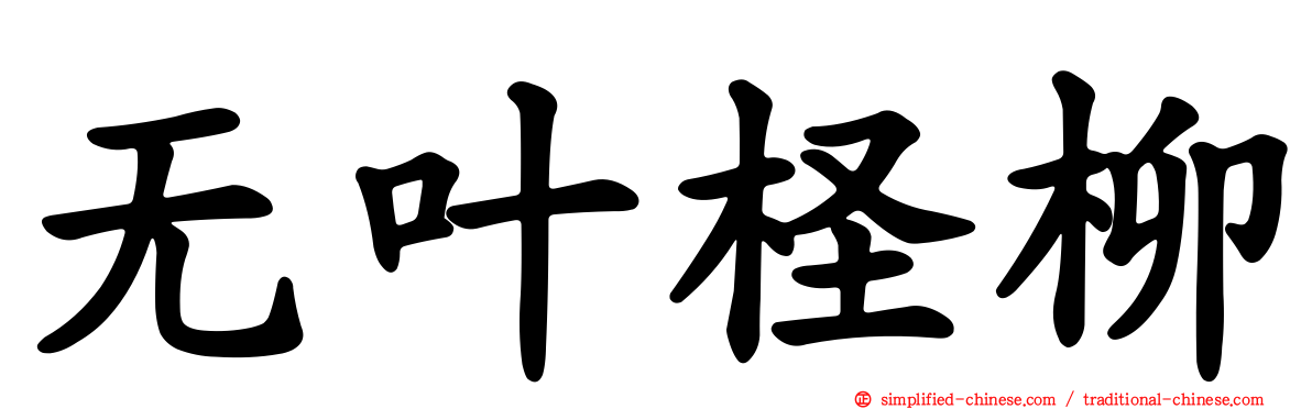 无叶柽柳