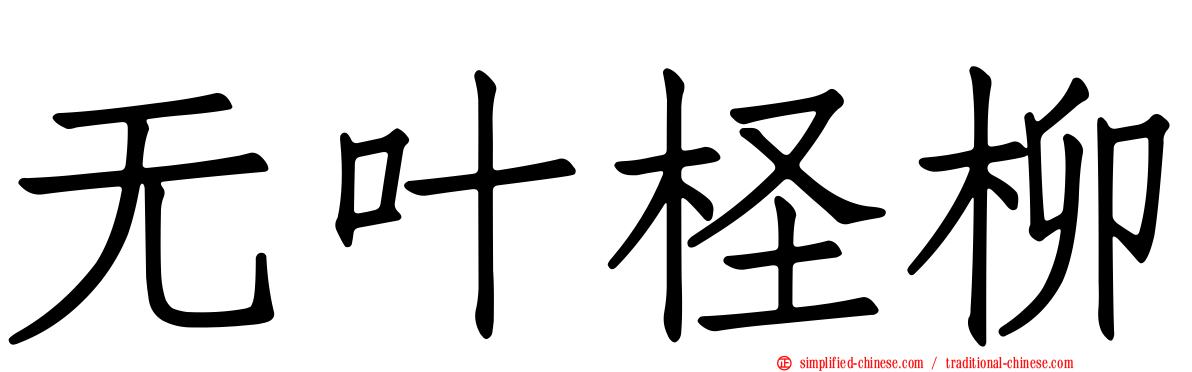 无叶柽柳