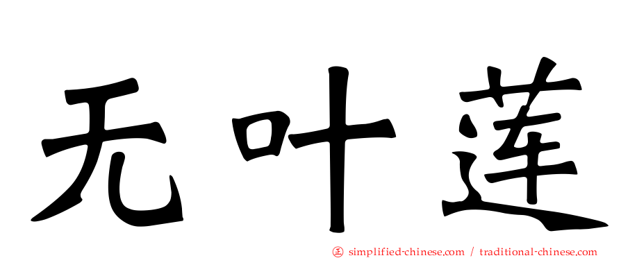 无叶莲