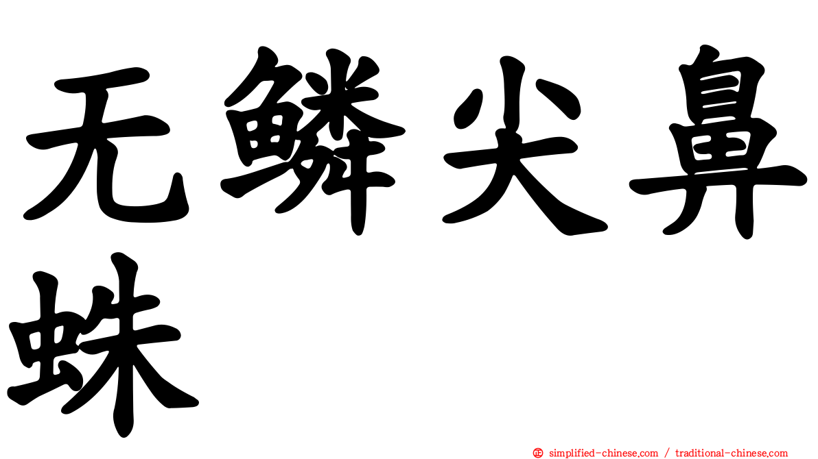 无鳞尖鼻蛛