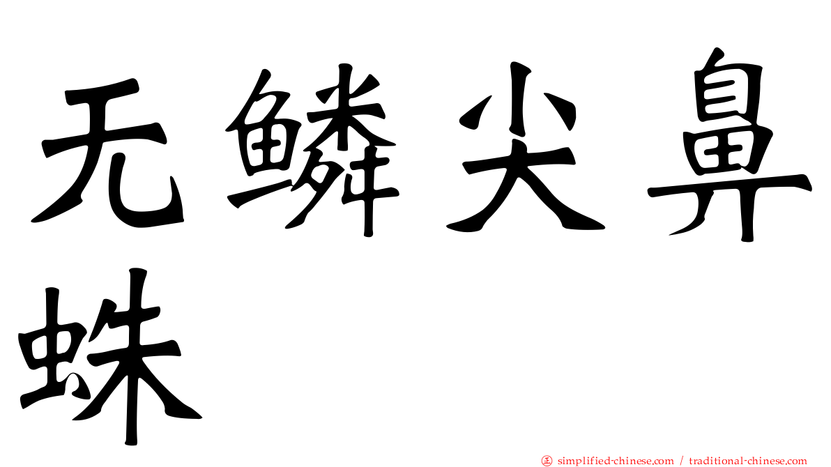 无鳞尖鼻蛛