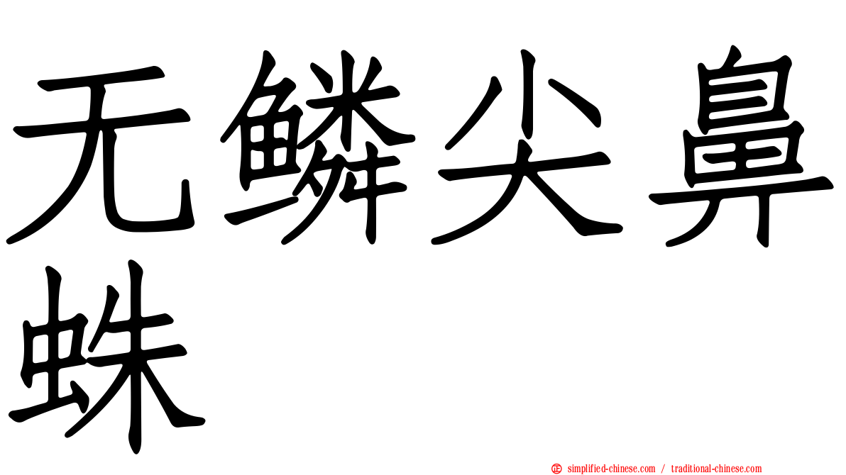 无鳞尖鼻蛛
