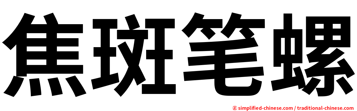 焦斑笔螺