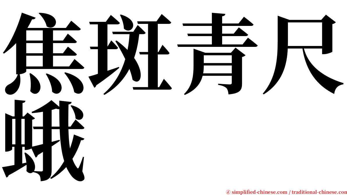 焦斑青尺蛾 serif font